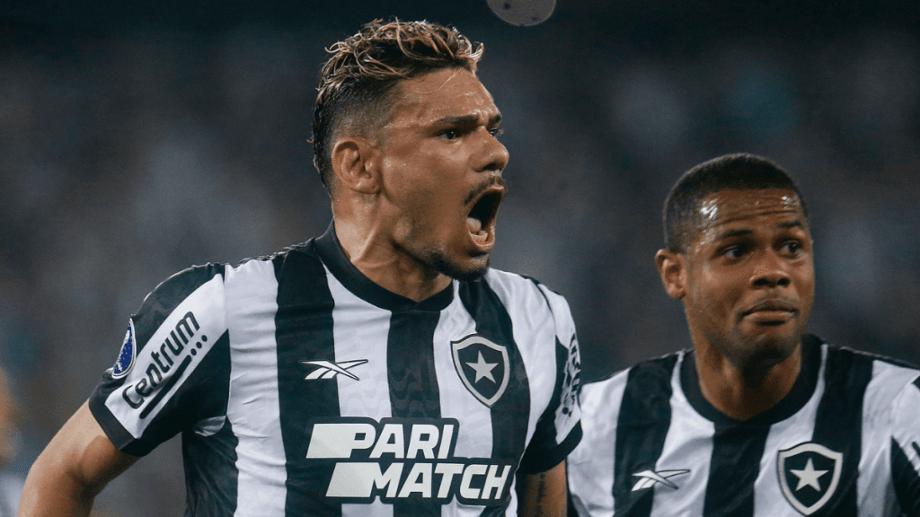 Líder do Brasileirão, Botafogo é terceiro clube com mais inscrições nas redes sociais em julho