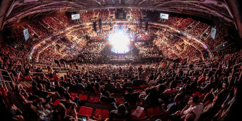 UFC terá Effect Sport como agência comercial no Brasil