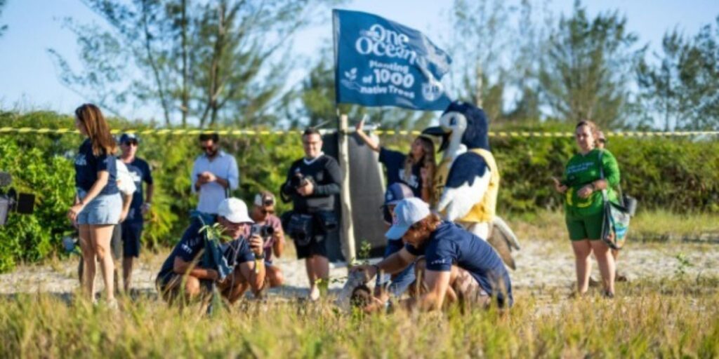 WSL e Cristalcopo lideram projetos de economia circular no surfe e no futebol