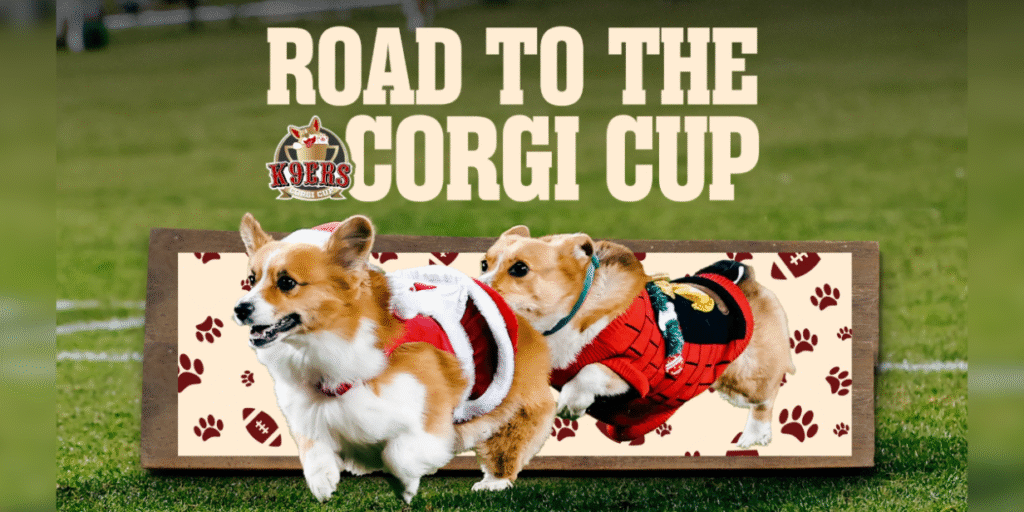 Corrida de corgi vira entretenimento, conteúdo e produto no esporte norte-americano