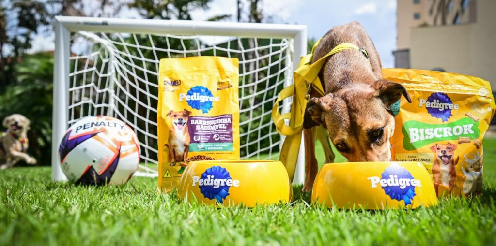 Pedigree e Dreamies investem em futebol para conectar paixão dos torcedores ao cuidado com os animais