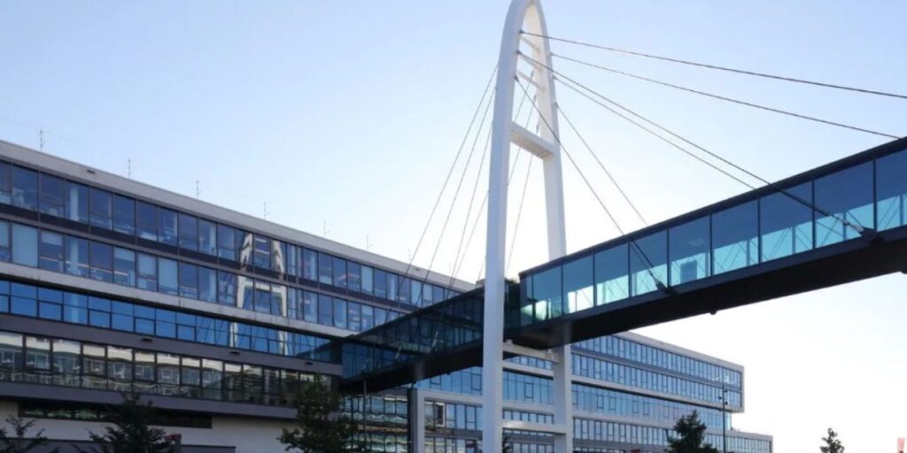 Puma projeta prejuízo para 2026 e suspende pagamento de dividendos