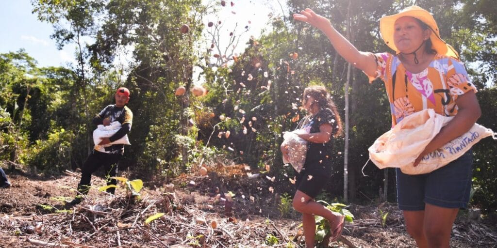 COB avança com projeto Floresta Olímpica do Brasil com 4 hectares restaurados na Amazônia