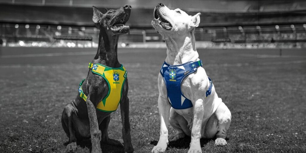 CBF e FreeFaro Pet lançam linha de produtos licenciados da seleção brasileira para cães e gatos